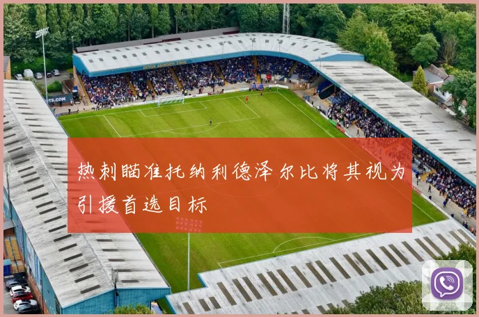 热刺瞄准托纳利德泽尔比将其视为引援首选目标